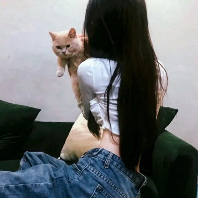 洪吉童的后裔
